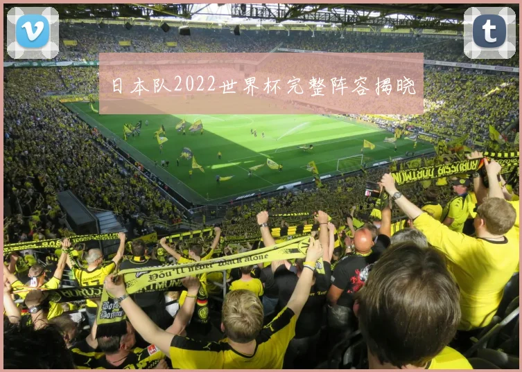 日本队2022世界杯完整阵容揭晓