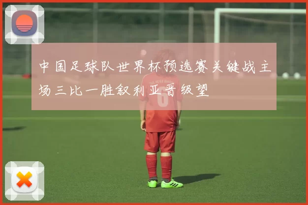 中国足球队世界杯预选赛关键战主场三比一胜叙利亚晋级望